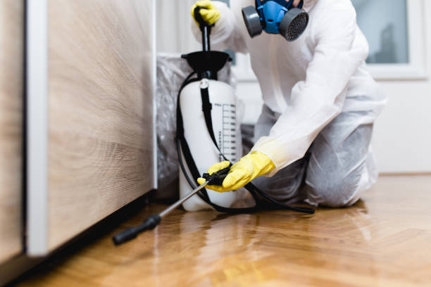 Trusted Shafter, CA Pest Control Experts