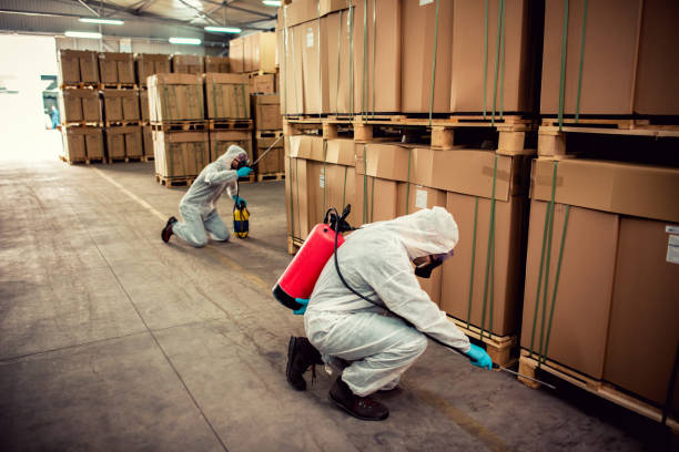Trusted Shafter, CA Pest Control Experts