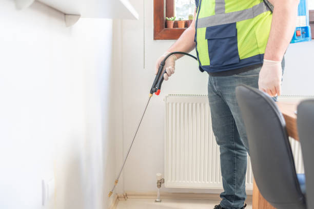 Best Mosquito Control Services  in Shafter, CA