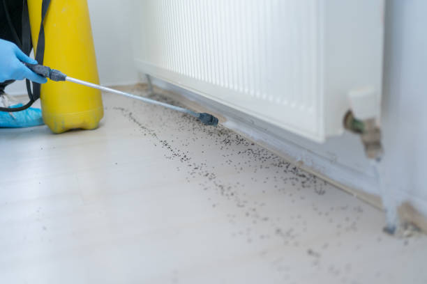 Pest Control for Restaurants in Shafter, CA